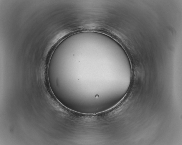 X0000111531410200907141519