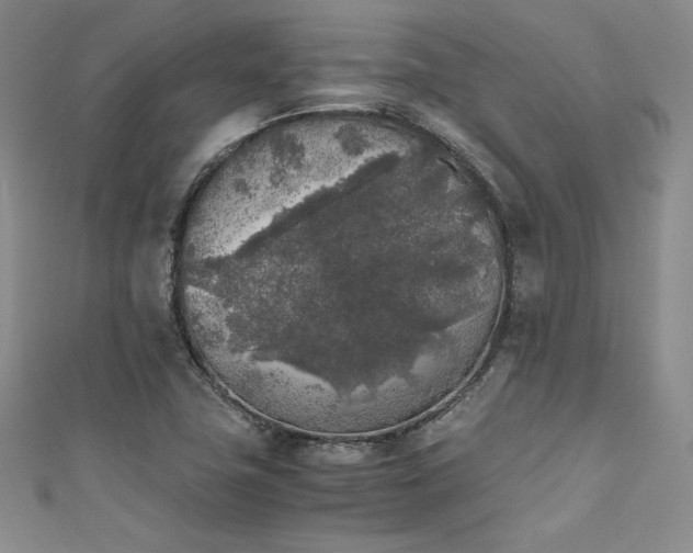 X0000111531411200907141519