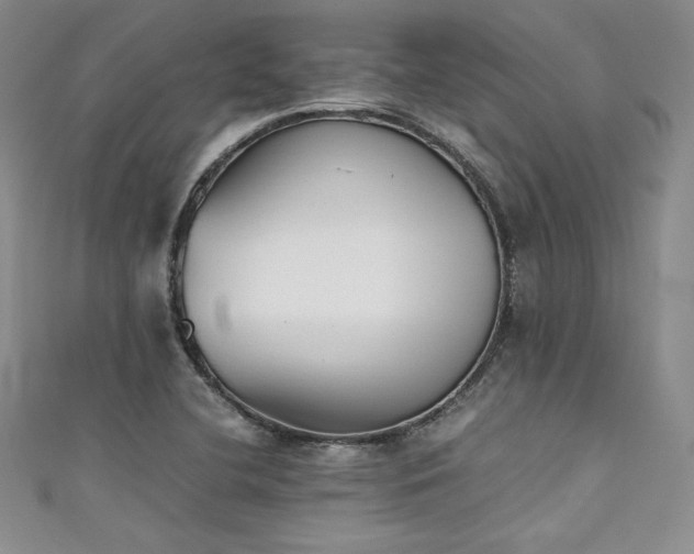 X0000111531412200907141519