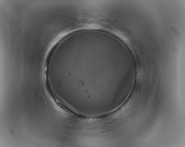 X0000111531414200907141519