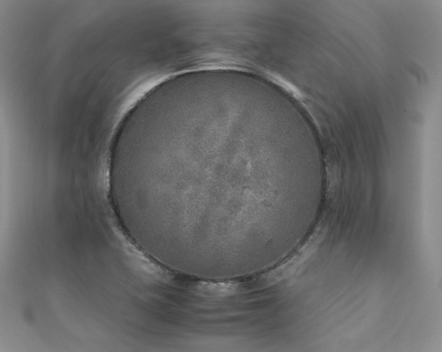 X0000111531415200907141519