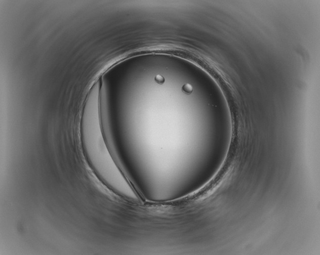 X0000111531417200907141519