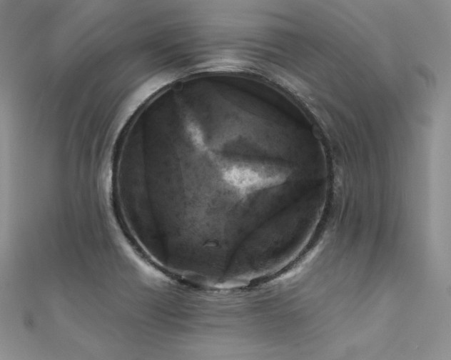 X0000111531418200907141519