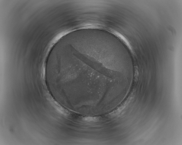 X0000111531419200907141519