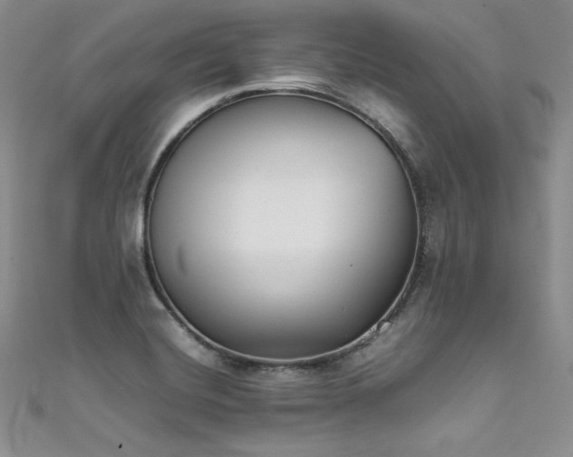 X0000111531420200907141519