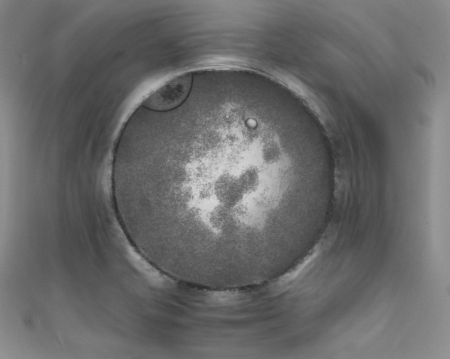 X0000111531421200907141519