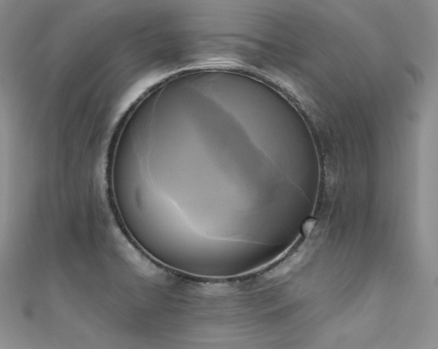 X0000111531422200907141519