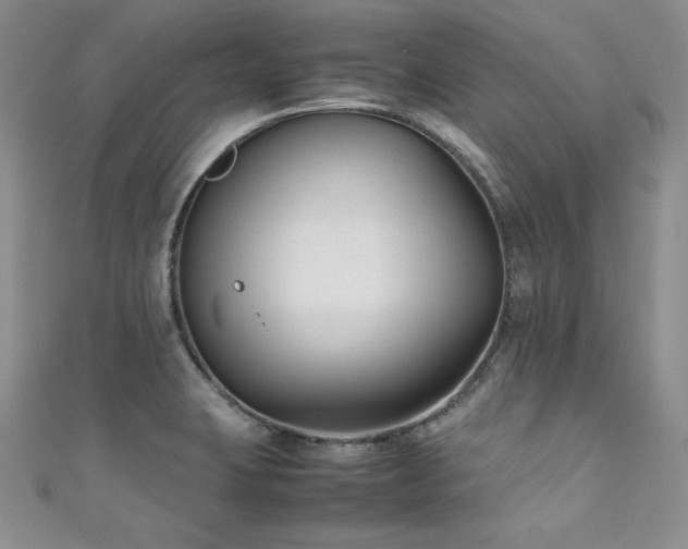 X0000111531423200907141519