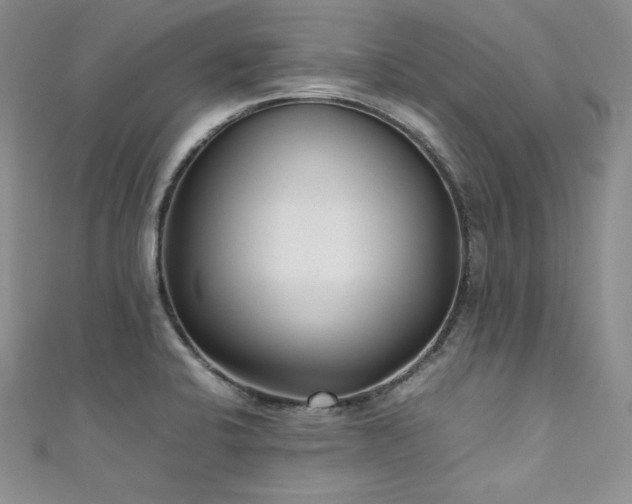 X0000111531424200907141519