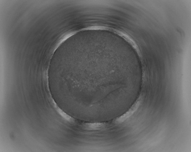 X0000111531425200907141519