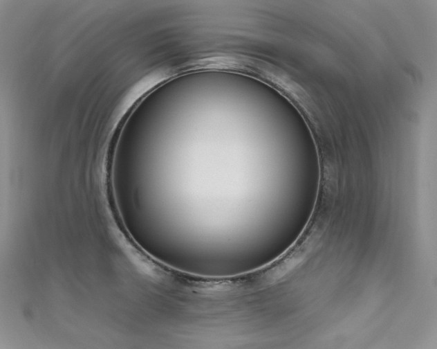 X0000111531426200907141519