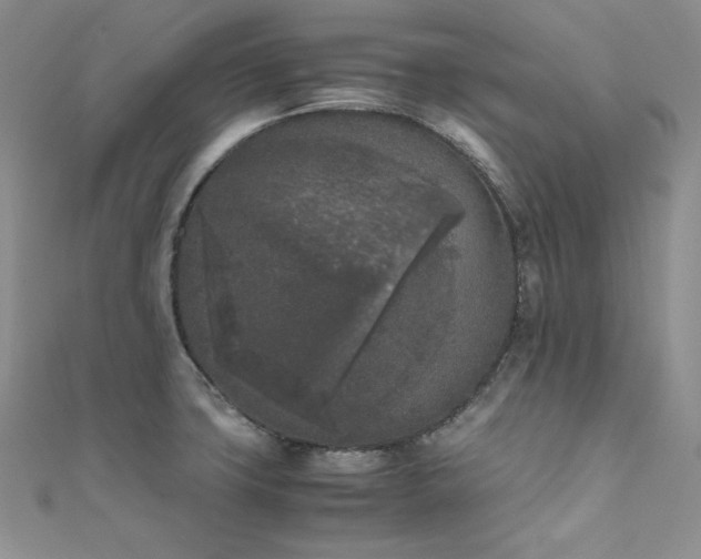 X0000111531427200907141519