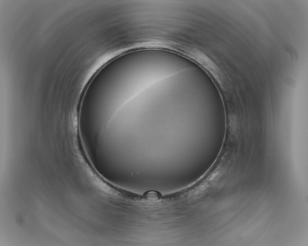 X0000111531428200907141519