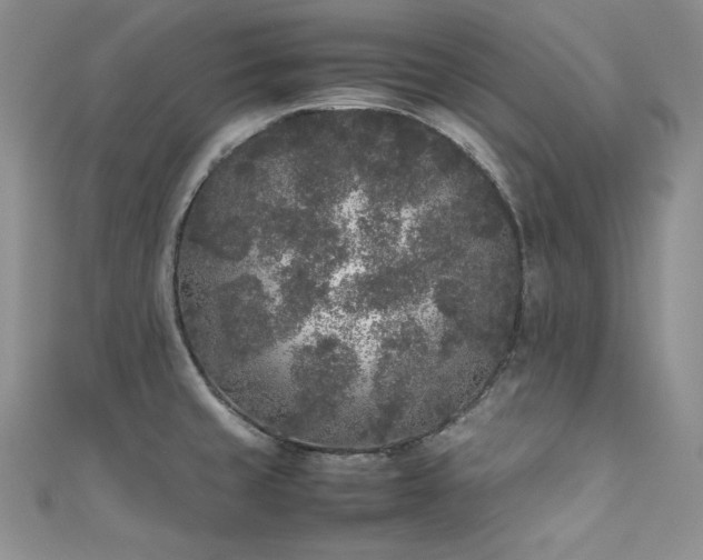 X0000111531429200907141519