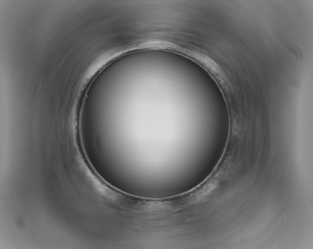 X0000111531430200907141519