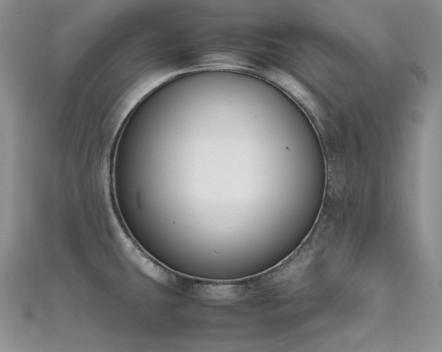 X0000111531431200907141519