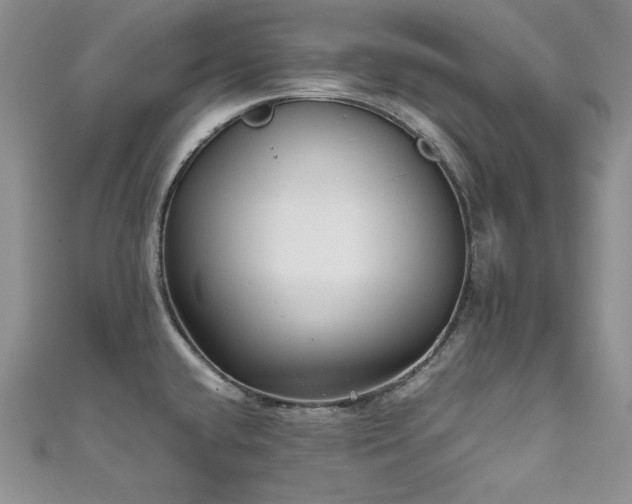 X0000111531432200907141519