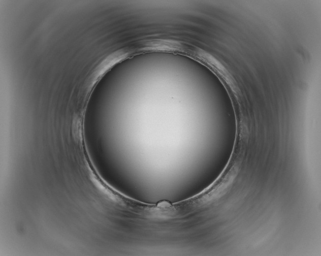 X0000111531433200907141519