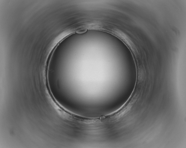 X0000111531434200907141519