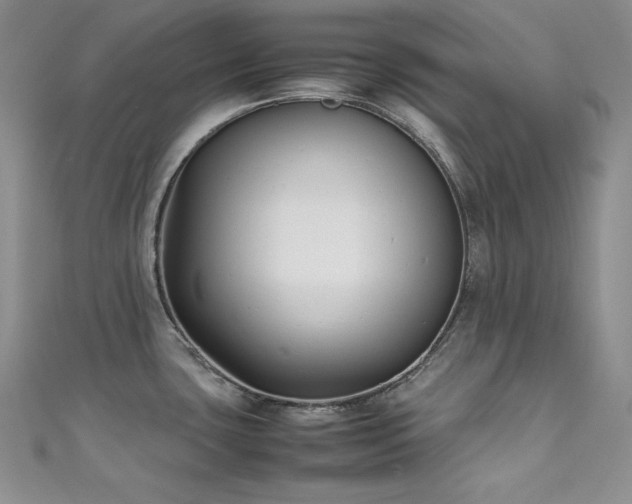 X0000111531435200907141519