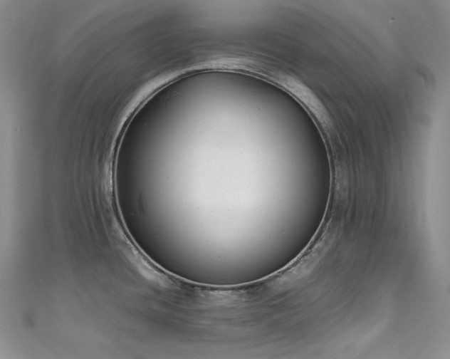 X0000111531436200907141519