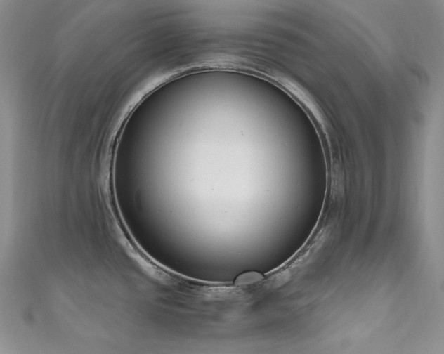 X0000111531437200907141519