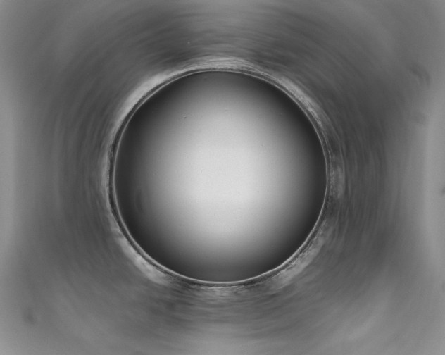 X0000111531438200907141519