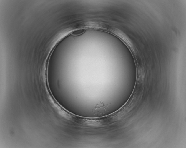 X0000111531439200907141519