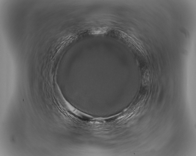 X0000111531441200907141518