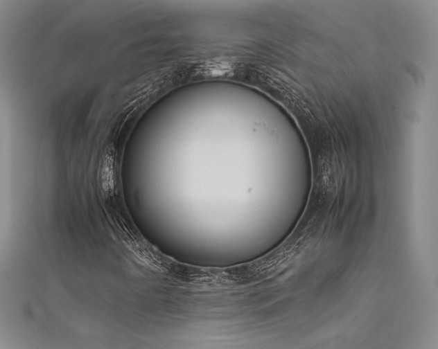 X0000111531442200907141518