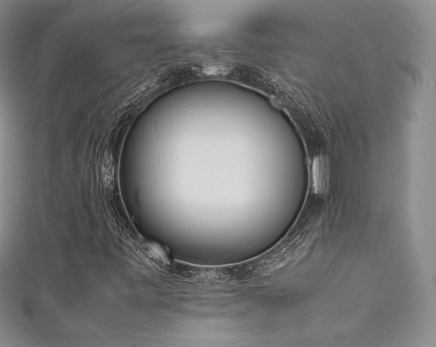 X0000111531443200907141518