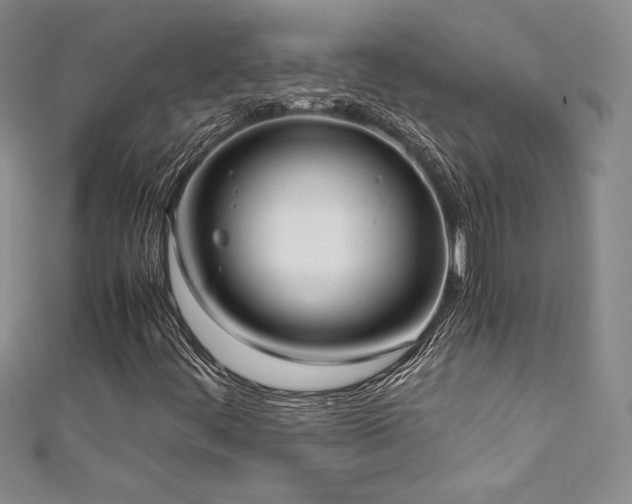 X0000111531444200907141518