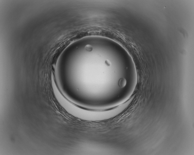 X0000111531445200907141518