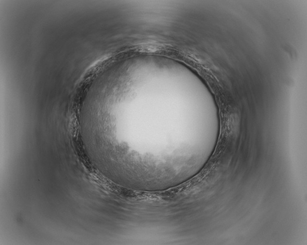 X0000111531446200907141518