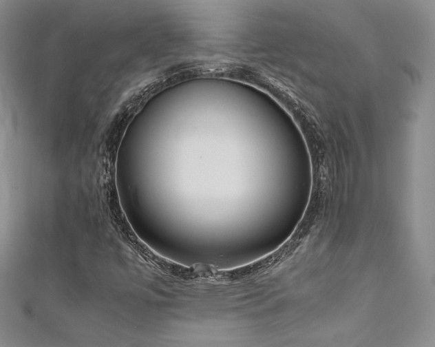 X0000111531447200907141518