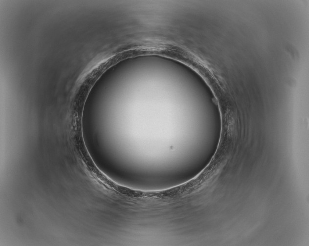 X0000111531448200907141518