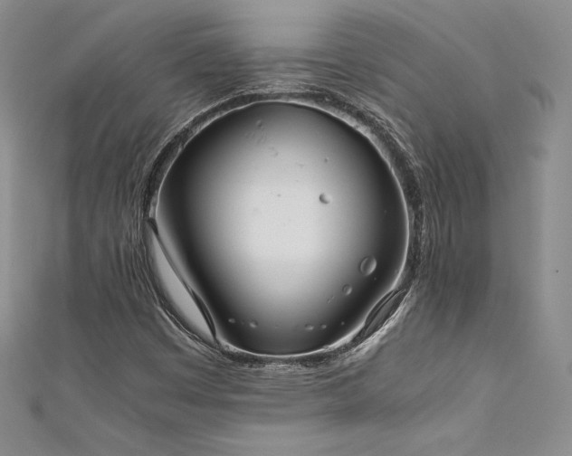 X0000111531449200907141518