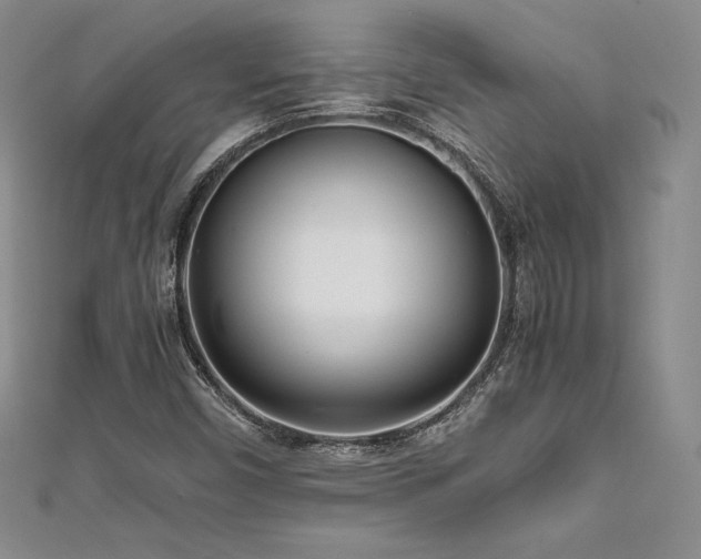 X0000111531450200907141518