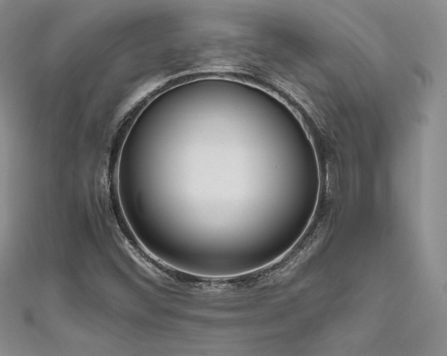 X0000111531452200907141518