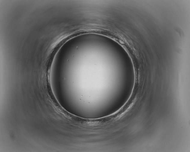 X0000111531453200907141518