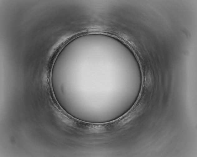 X0000111531454200907141518