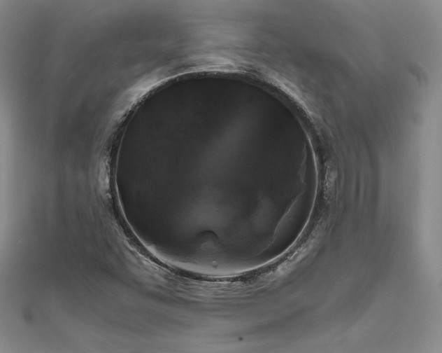 X0000111531455200907141518