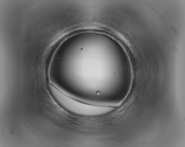 X0000111531456200907141518