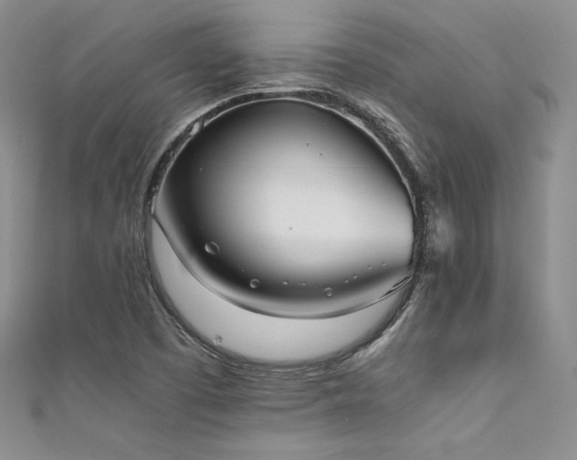 X0000111531457200907141518