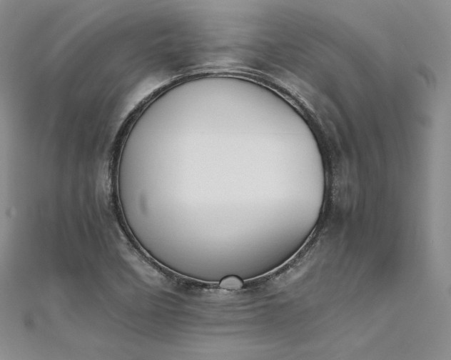 X0000111531458200907141518