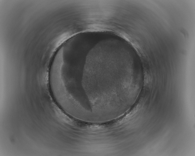 X0000111531459200907141518