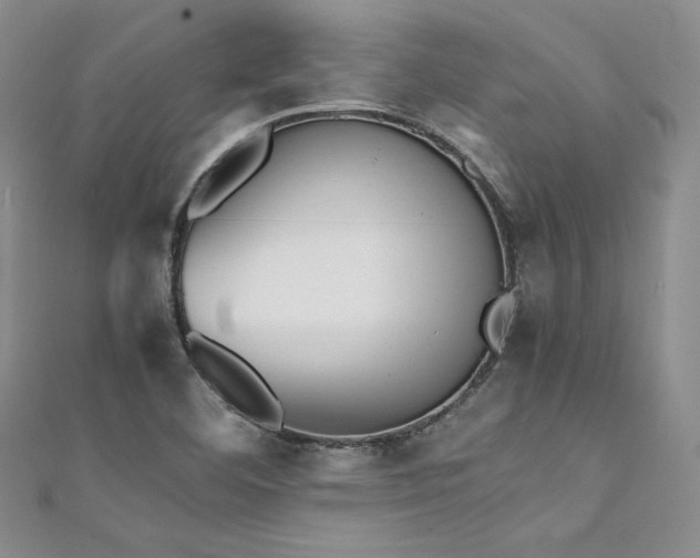 X0000111531460200907141518