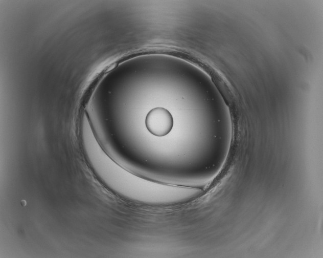 X0000111531461200907141518