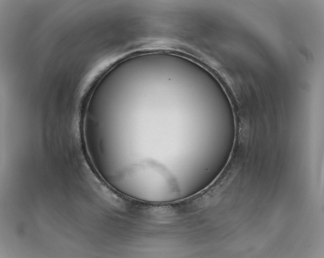 X0000111531464200907141518