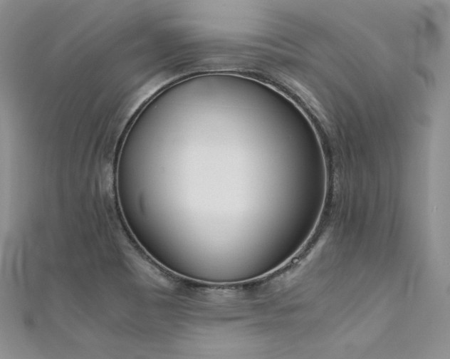 X0000111531465200907141518